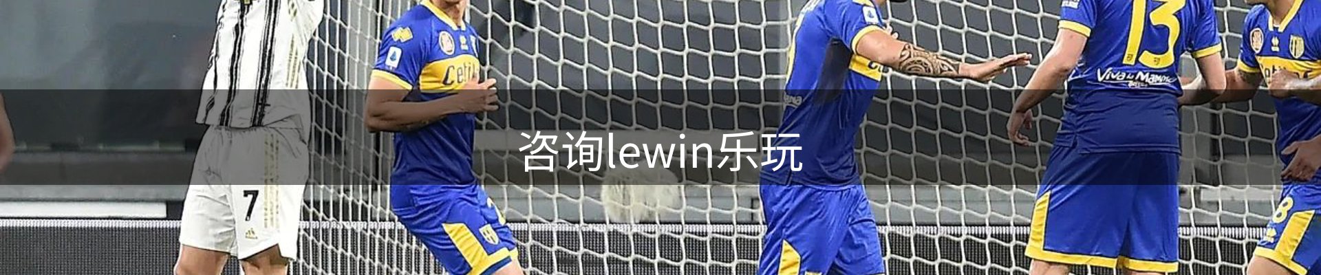 咨询lewin乐玩